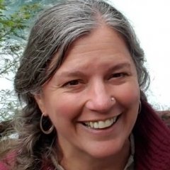 Heidi Vornbrock Roosa